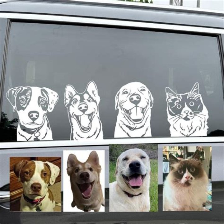custom pet decals for cars