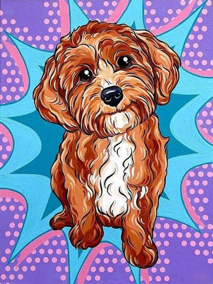 custom pet portraits pop art