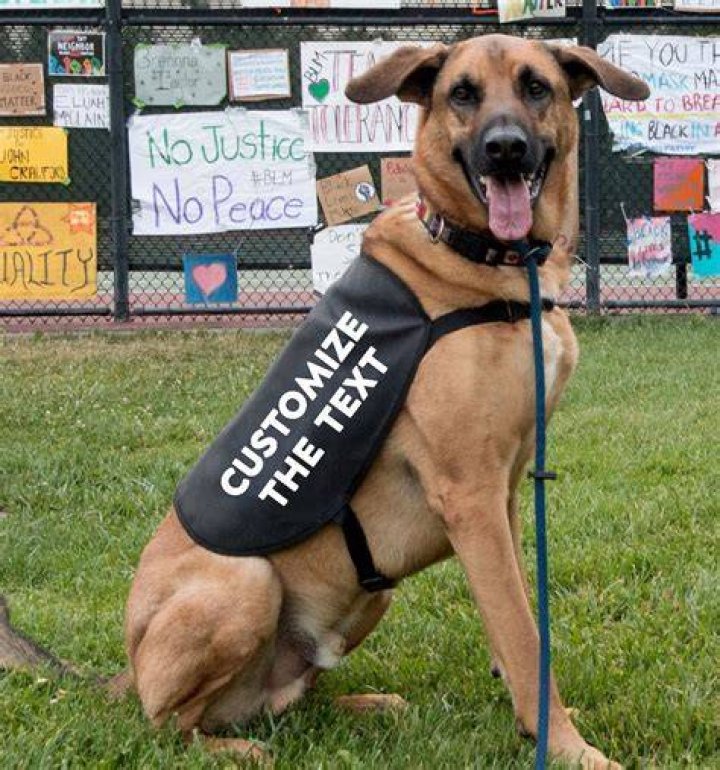 customize your dog onto your items