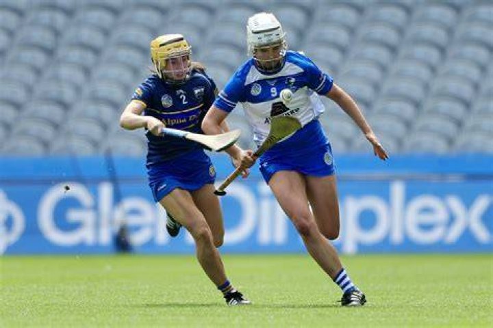 Darragh Moore's Journey And Legacy In Hurling
