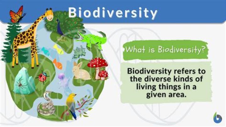 DAVID Alter 59: Unlocking Biological Meaning from Gene Lists Today