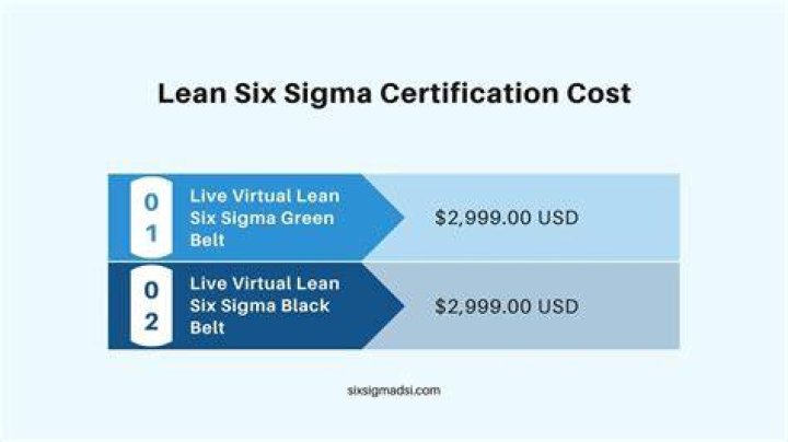Delving into the Cost of Lean