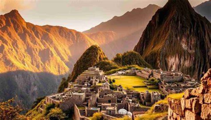 Discover Its Grace And Cultural Significance