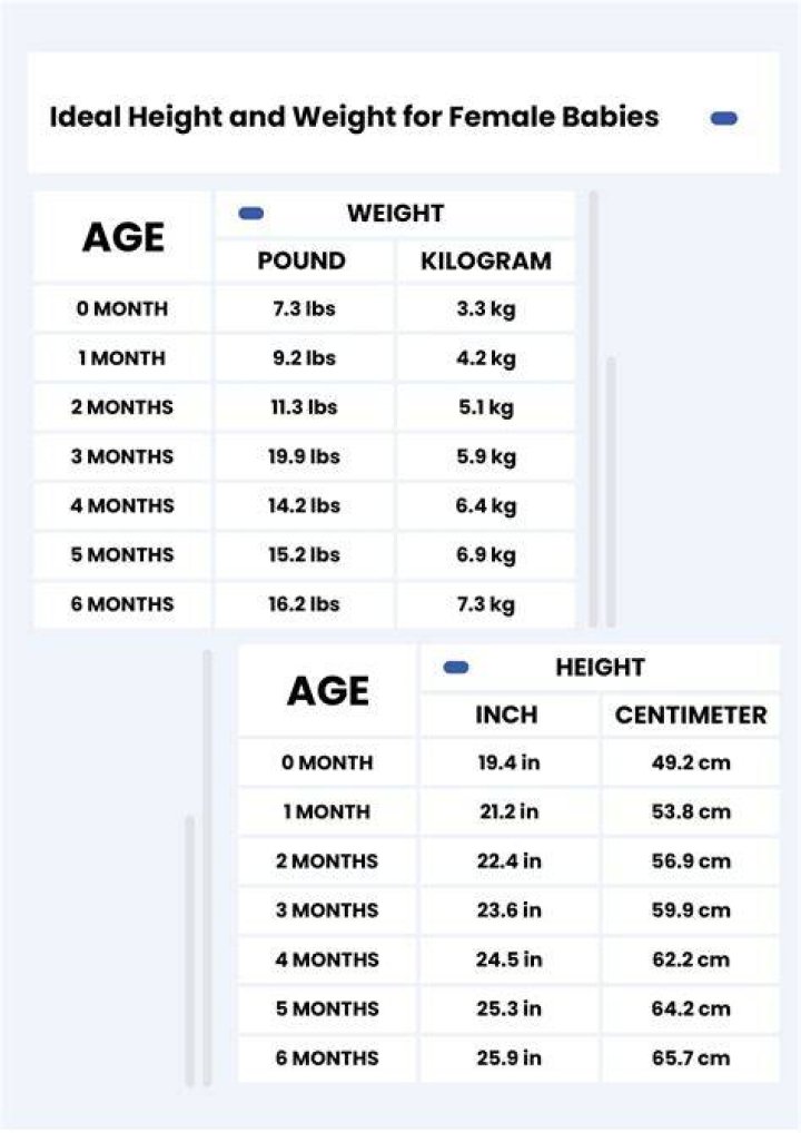 Discover The Untold Truths Behind Chris Licht's Height, Weight, And Net Worth
