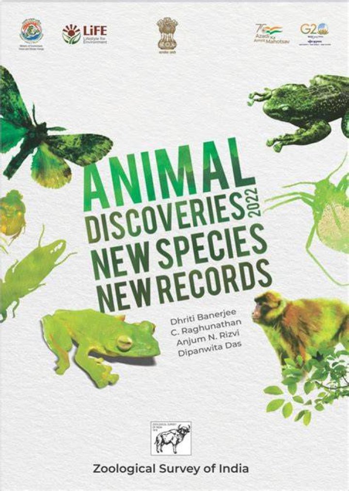 Discoveries And Insights For Animal Lovers