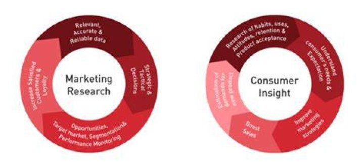 Discoveries And Insights For Communication