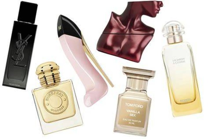 Discoveries And Insights For Fragrance Aficionados