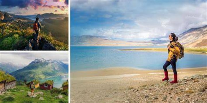 Discoveries And Insights For Nature Enthusiasts