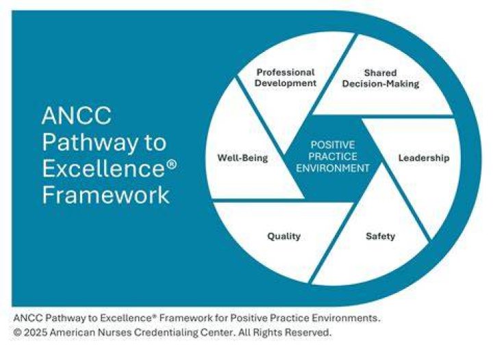 Discoveries And Insights For Nursing Excellence