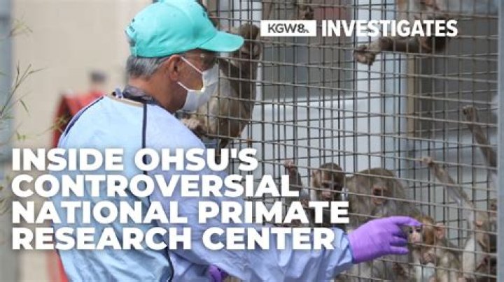 Discoveries And Insights Into Primatology, Stress, And Health