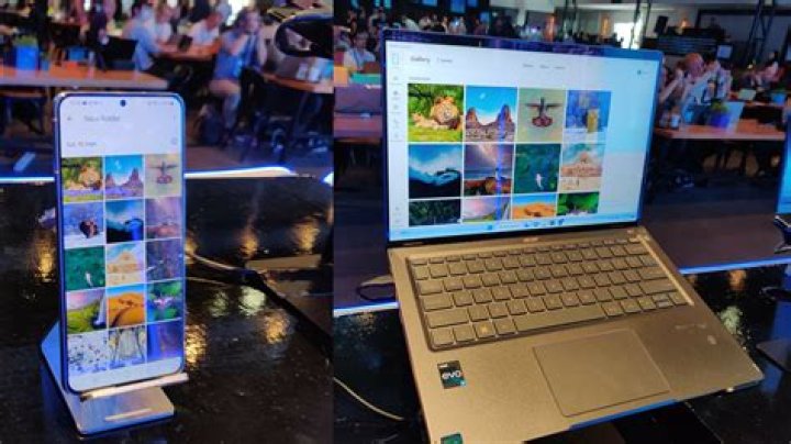 Discovering Dogx: A New Way to See Your Digital World