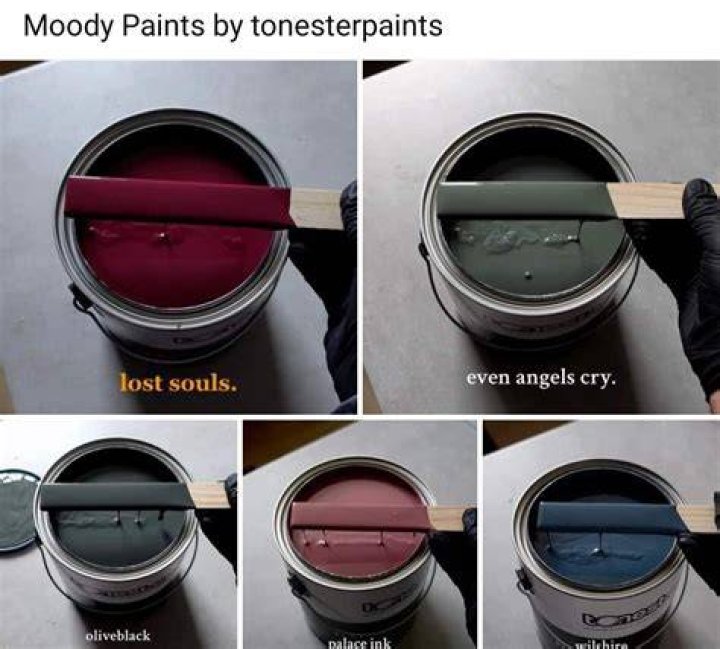 Discovering The World Of Tonester Paints