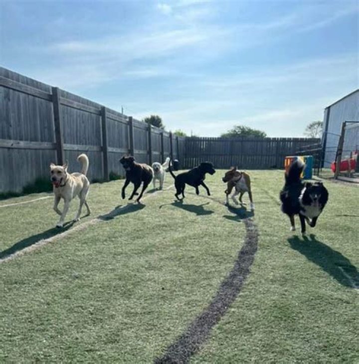 Dog Boarding & Daycare Warsaw IN