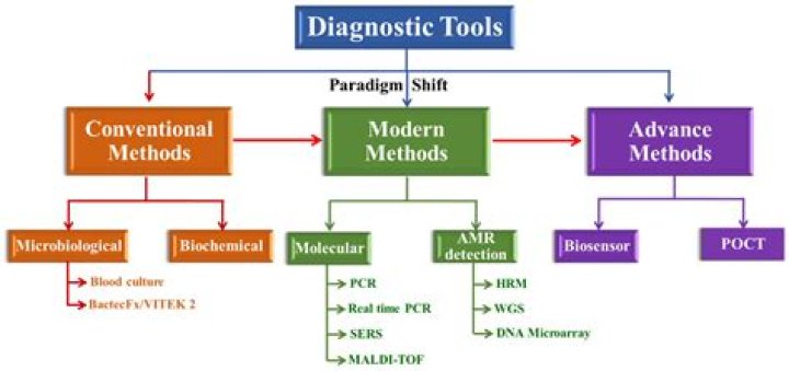 Elisa Del Genio: Uncovering the Brilliance of a Key Diagnostic Method