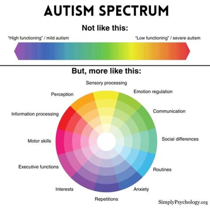 Elisabeth Holmes And The Spectrum Of Autism