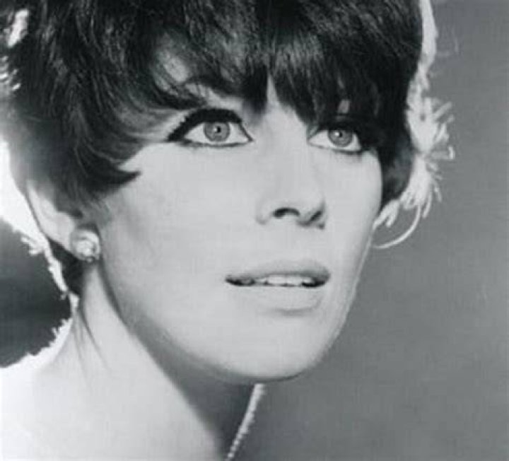 Elizabeth Knowles Actress Wikipedia Bio Age Partner