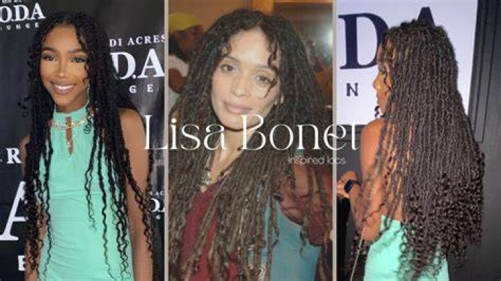 Embracing Elegance: The Allure Of Lisa Bonet Braids