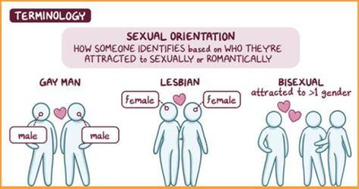 Exploring Rick Hoffman's Sexual Orientation