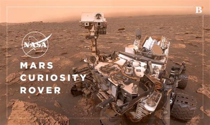 Exploring the Curiosity: Is There a Dwayne Johnson Brother?