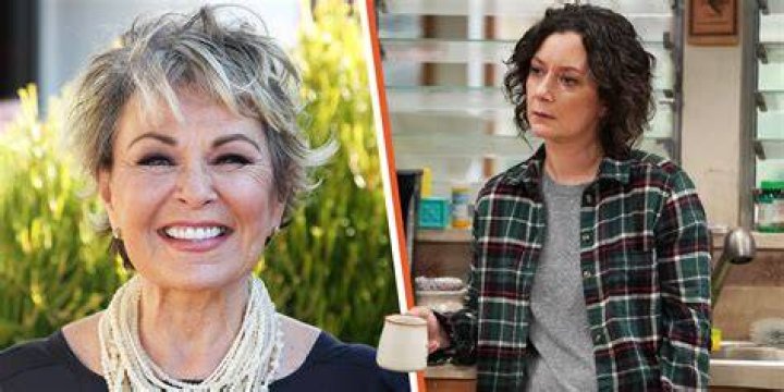 Exploring The Life Of Roseanne Barr's Son: A Journey Into Fame And Family