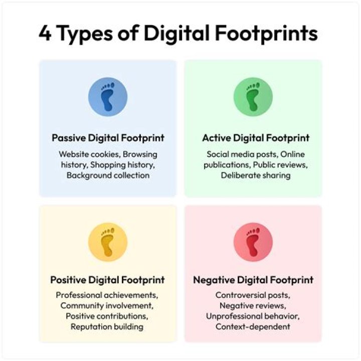 Exploring the Online Presence of Anna Vlasova: A Look at Digital Footprints
