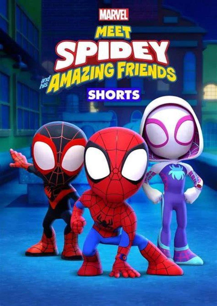 Exploring The World Of Spidermanvid.xom: Where Spidey Meets Spectators