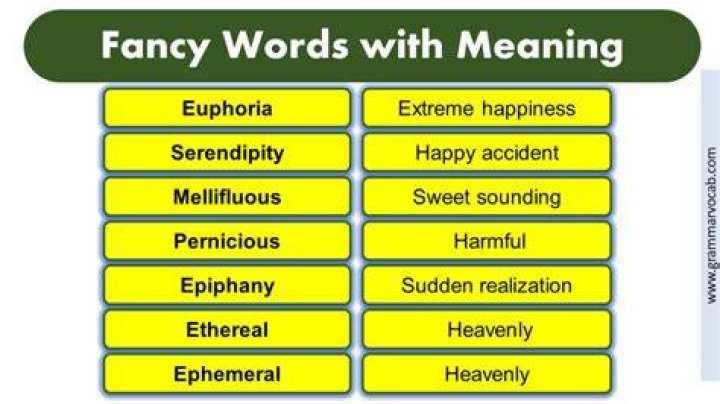 Fancy Another Word Related Collins
