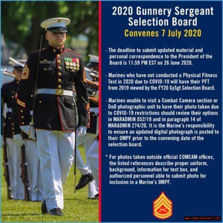 Fy22 Gunnery Sergeant Selection Board Shape Length