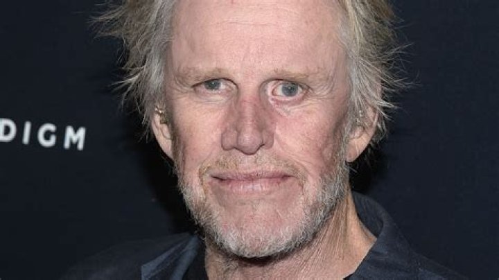 Gary Busey's Age On 'Naked And Afraid'
