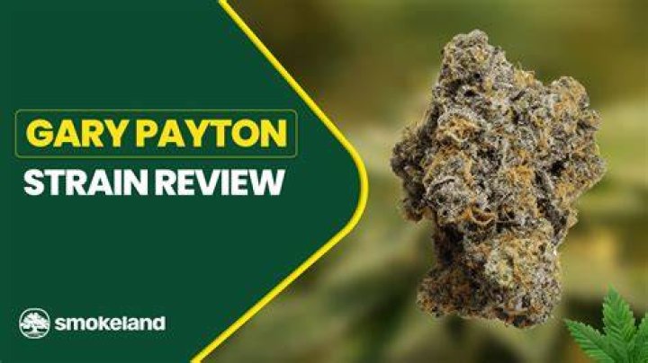gary payton weed strain - gushers weed strain