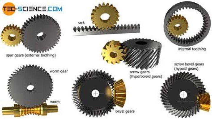 Gear