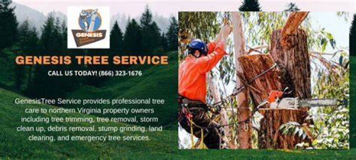 Genesis Tree Service - Virginia Tree Trimming & Removal
