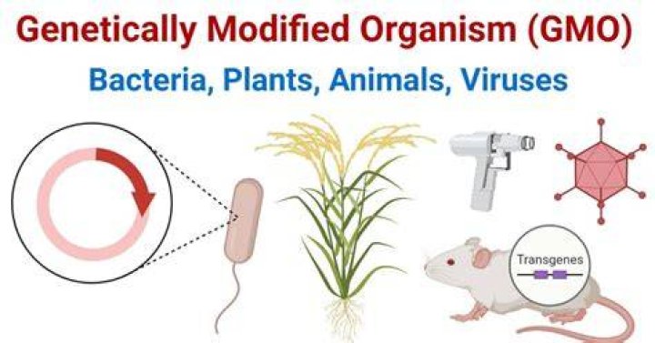 Genetically Modified Organisms: ILiAD Biotechnologies,LLC (22/R53/01)
