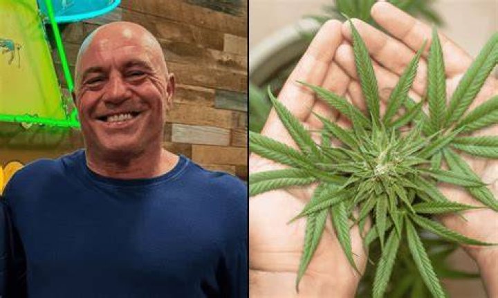 God's Gift Marijuana Seeds