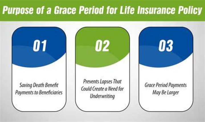 grace period for individual life insurance policy