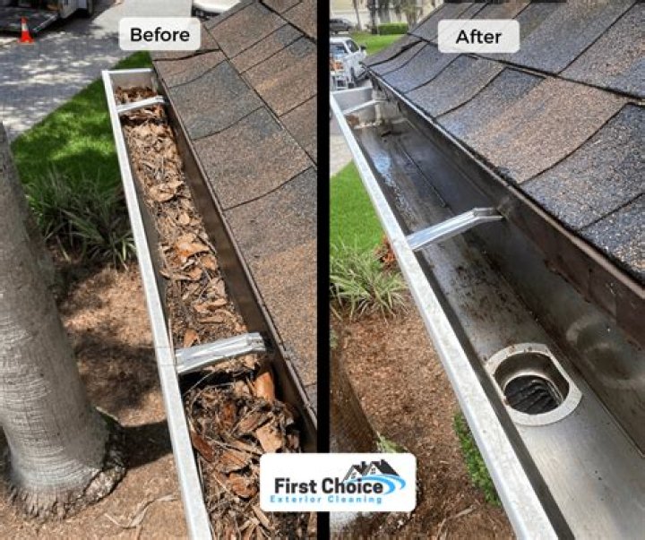 Gutter Cleaning Services Jacksonville Fl