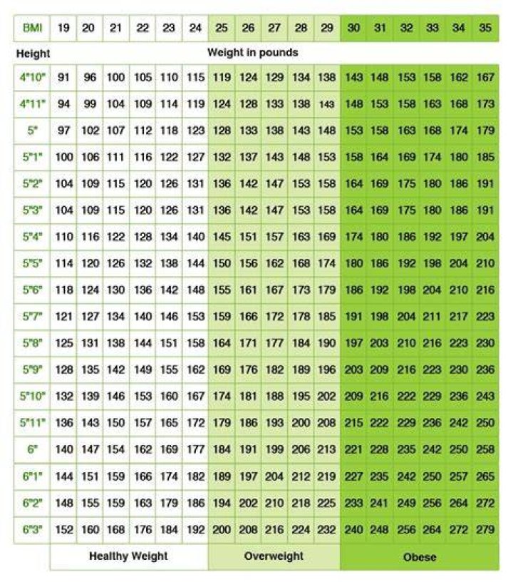 Height, Weight, And Performance Insights