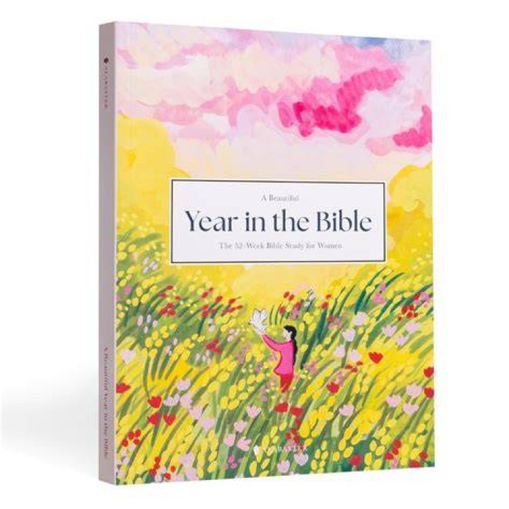 Here’s your year in the Bible App…