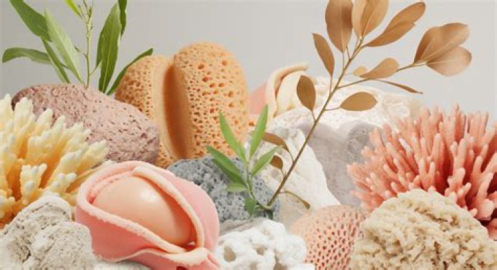 Holistic Therapist Coral Gables FL