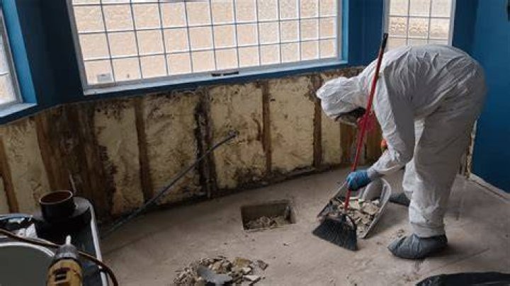 Home and Business Mold Removal Company Sylvan Oregon