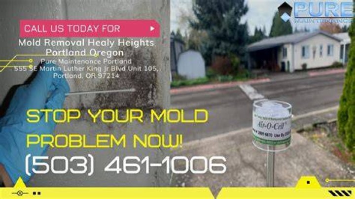 Home and Business Mold Removal Experts Portland Heights Oregon