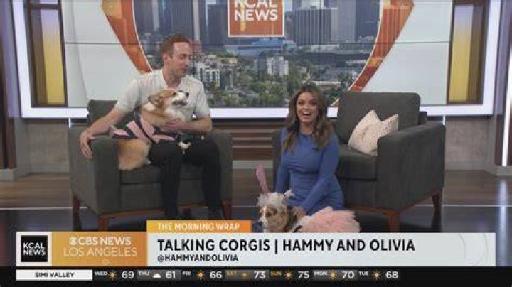 How Heartbreaking News From Hammy & Olivia Inspires Empathy & Resilience