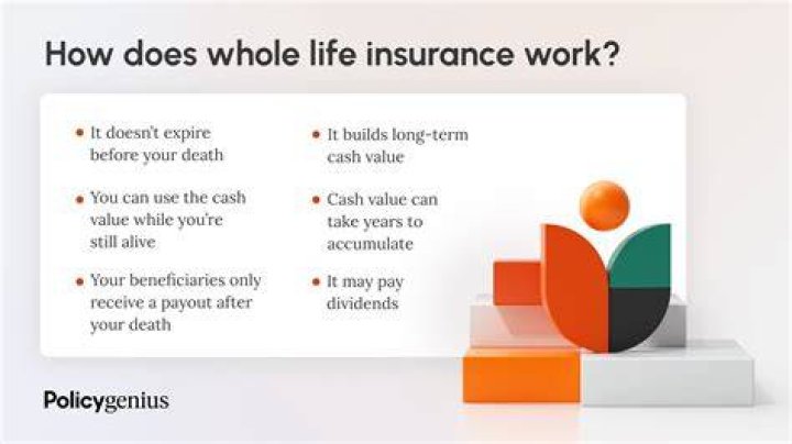 how much can you borrow on a 250,000 life insurance policy