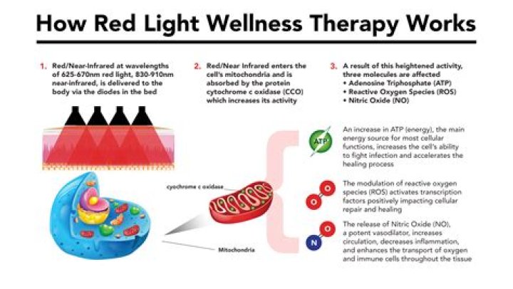 how often should you go to red light therapy