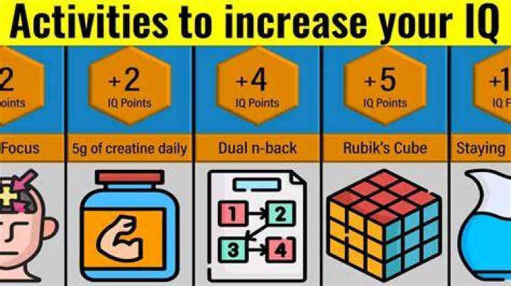 How to increase your IQ