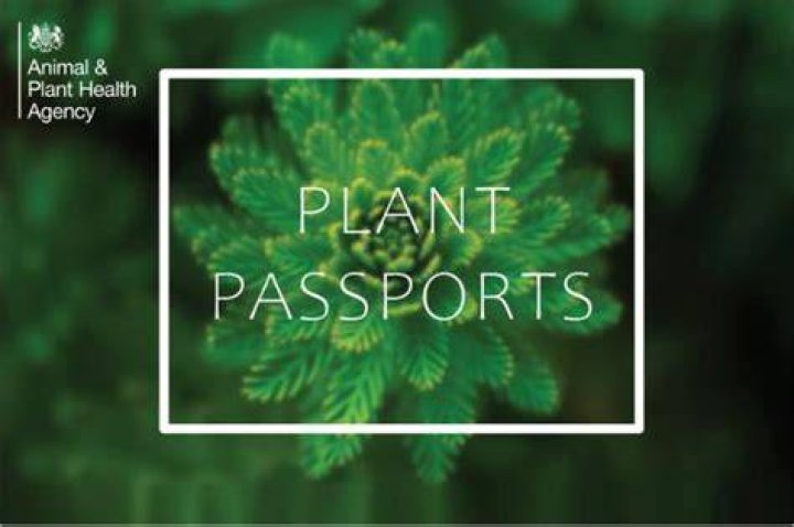 How we are keeping plants healthy in the age of online sales