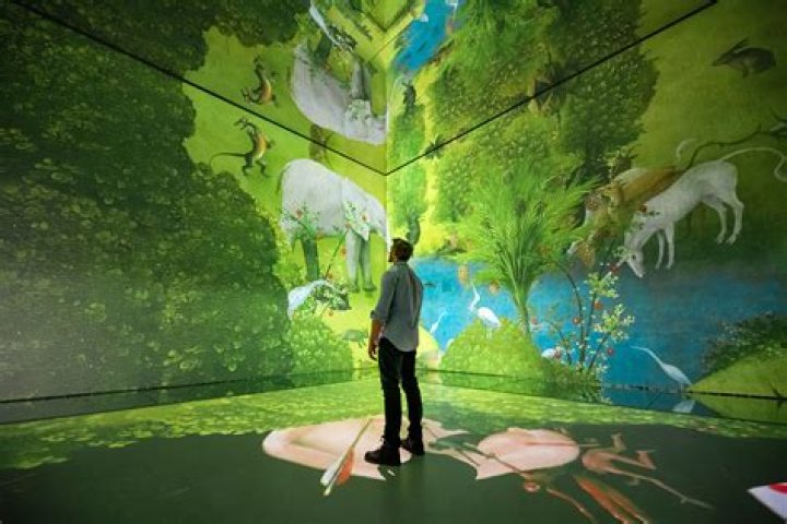 Immersive Art, Perception, And Environmental Awareness