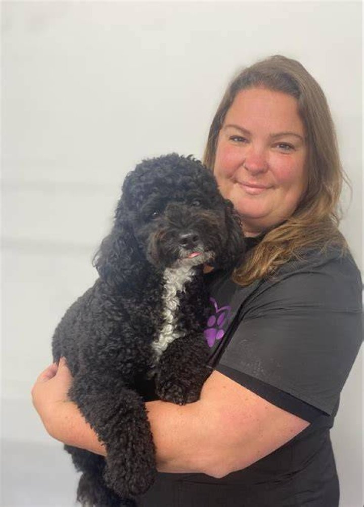 In need of the best Ashton dog trainer? Call (331) 204-1942 today