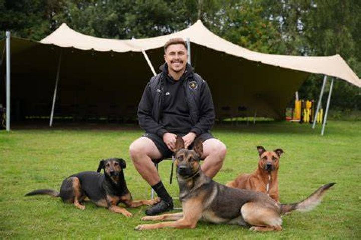 In need of the best Atkinson dog trainer? Phone (331) 204-1942 today