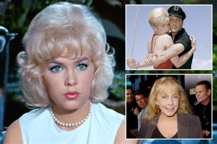 Inger Stevens' Life And Mysterious Demise